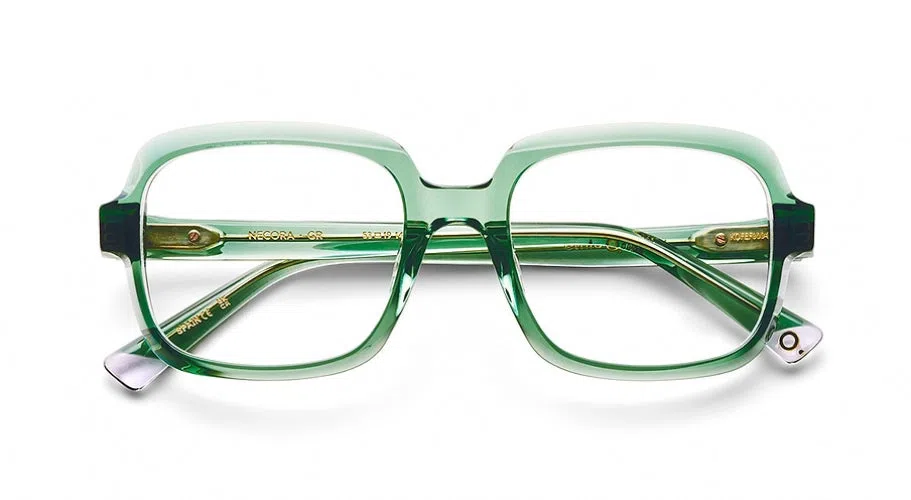 Etnia Barcelona NECORA Eyeglasses - view 10